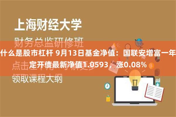 什么是股市杠杆 9月13日基金净值：国联安增富一年定开债最新净值1.0593，涨0.08%