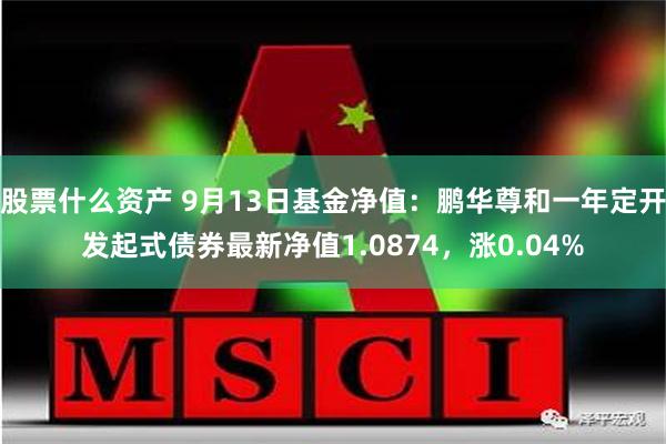 股票什么资产 9月13日基金净值：鹏华尊和一年定开发起式债券最新净值1.0874，涨0.04%