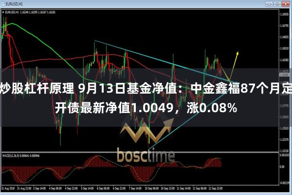 炒股杠杆原理 9月13日基金净值：中金鑫福87个月定开债最新净值1.0049，涨0.08%