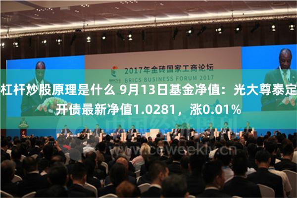 杠杆炒股原理是什么 9月13日基金净值：光大尊泰定开债最新净值1.0281，涨0.01%