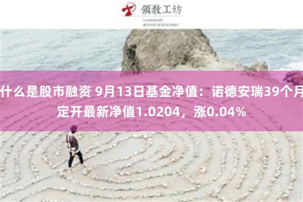 什么是股市融资 9月13日基金净值：诺德安瑞39个月定开最新净值1.0204，涨0.04%