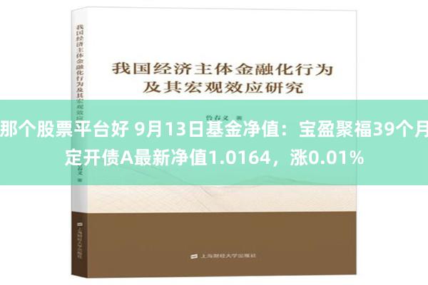 那个股票平台好 9月13日基金净值：宝盈聚福39个月定开债A最新净值1.0164，涨0.01%