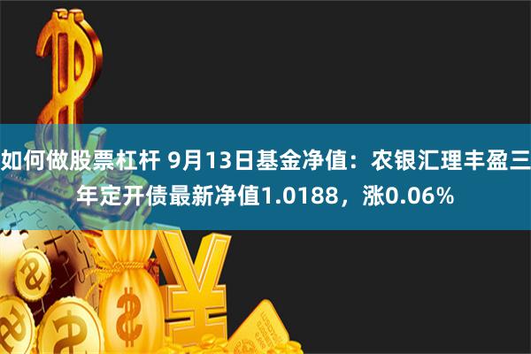 如何做股票杠杆 9月13日基金净值：农银汇理丰盈三年定开债最新净值1.0188，涨0.06%
