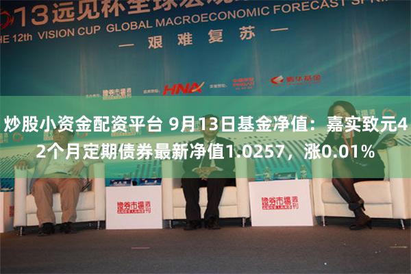 炒股小资金配资平台 9月13日基金净值：嘉实致元42个月定期债券最新净值1.0257，涨0.01%