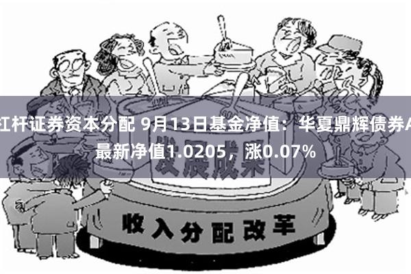 杠杆证券资本分配 9月13日基金净值：华夏鼎辉债券A最新净值1.0205，涨0.07%