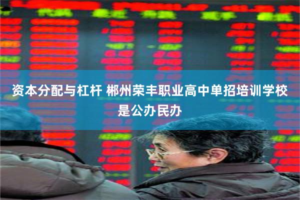 资本分配与杠杆 郴州荣丰职业高中单招培训学校是公办民办