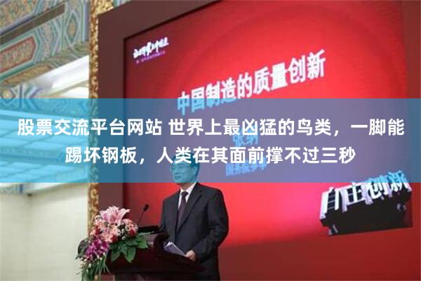 股票交流平台网站 世界上最凶猛的鸟类，一脚能踢坏钢板，人类在其面前撑不过三秒