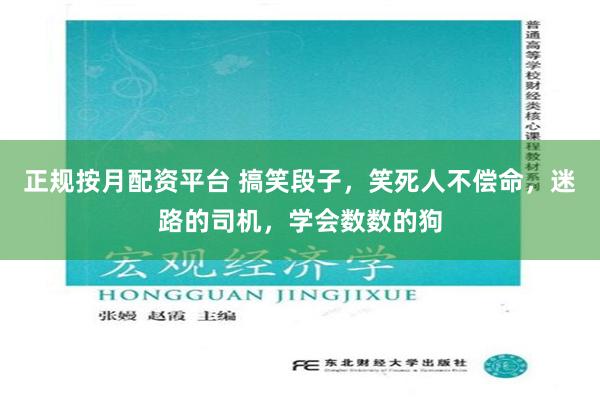 正规按月配资平台 搞笑段子，笑死人不偿命，迷路的司机，学会数数的狗