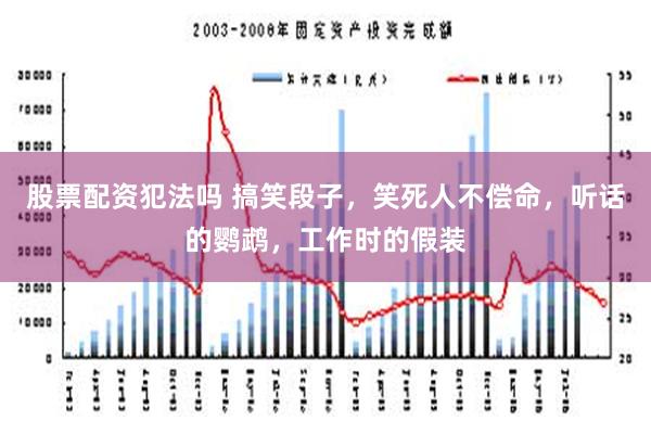 股票配资犯法吗 搞笑段子，笑死人不偿命，听话的鹦鹉，工作时的假装