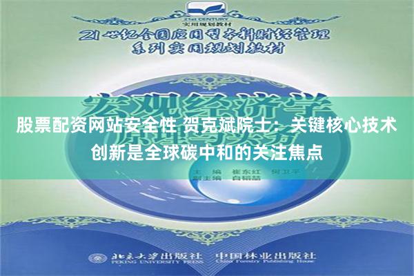 股票配资网站安全性 贺克斌院士：关键核心技术创新是全球碳中和的关注焦点