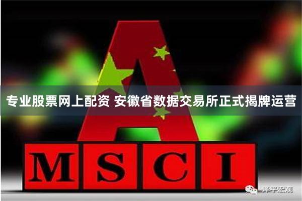 专业股票网上配资 安徽省数据交易所正式揭牌运营