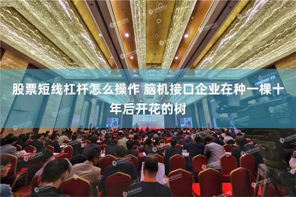 股票短线杠杆怎么操作 脑机接口企业在种一棵十年后开花的树