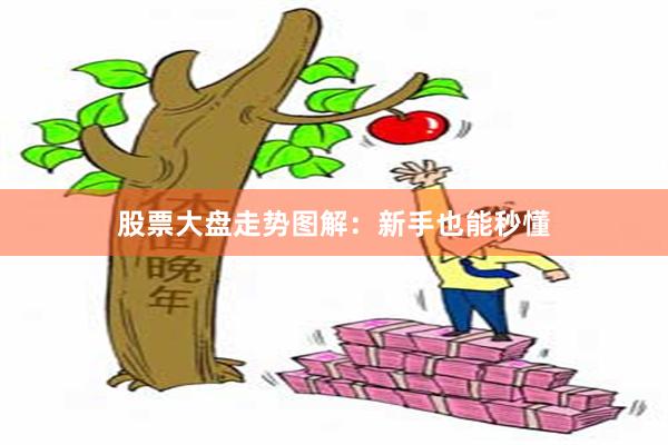 股票大盘走势图解：新手也能秒懂