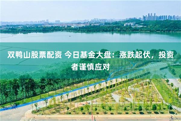 双鸭山股票配资 今日基金大盘：涨跌起伏，投资者谨慎应对
