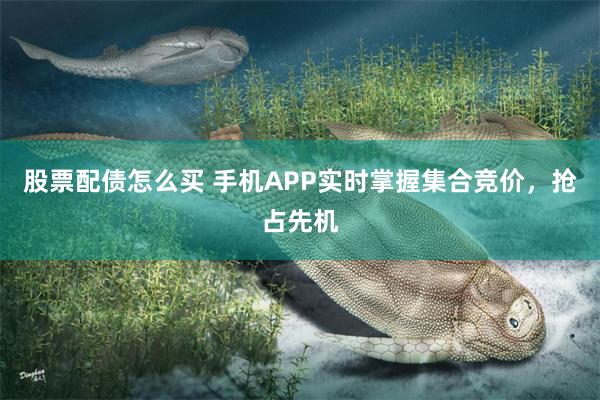 股票配债怎么买 手机APP实时掌握集合竞价，抢占先机