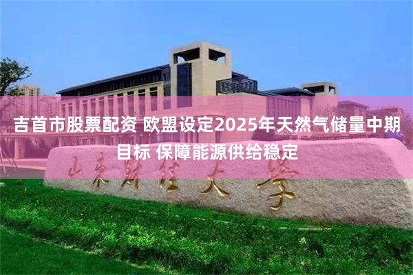 吉首市股票配资 欧盟设定2025年天然气储量中期目标 保障能源供给稳定