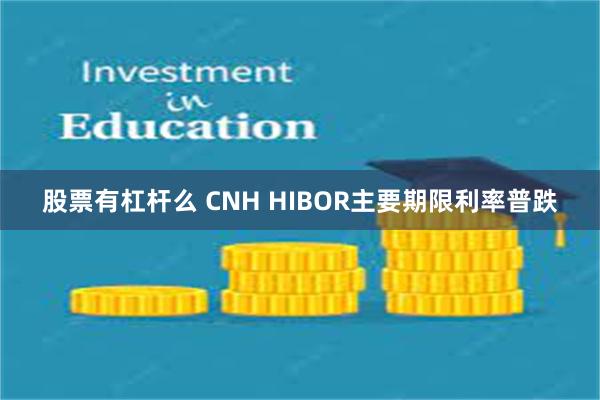 股票有杠杆么 CNH HIBOR主要期限利率普跌