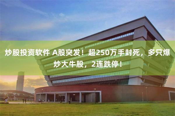 炒股投资软件 A股突发！超250万手封死，多只爆炒大牛股，2连跌停！