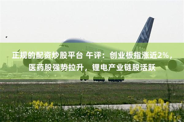 正规的配资炒股平台 午评：创业板指涨近2%，医药股强势拉升，锂电产业链股活跃