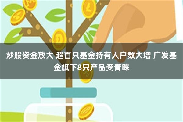 炒股资金放大 超百只基金持有人户数大增 广发基金旗下8只产品受青睐