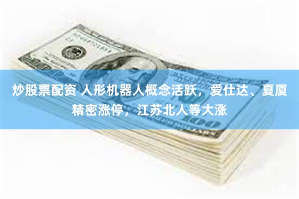 炒股票配资 人形机器人概念活跃，爱仕达、夏厦精密涨停，江苏北人等大涨