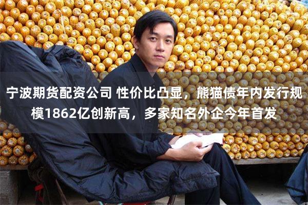 宁波期货配资公司 性价比凸显，熊猫债年内发行规模1862亿创新高，多家知名外企今年首发