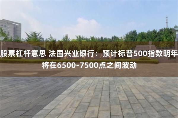 股票杠杆意思 法国兴业银行：预计标普500指数明年将在6500-7500点之间波动