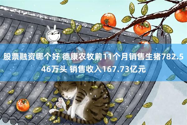 股票融资哪个好 德康农牧前11个月销售生猪782.546万头 销售收入167.73亿元