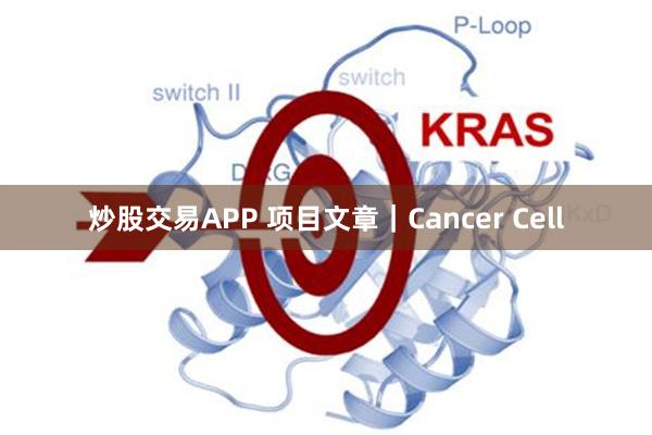 炒股交易APP 项目文章｜Cancer Cell