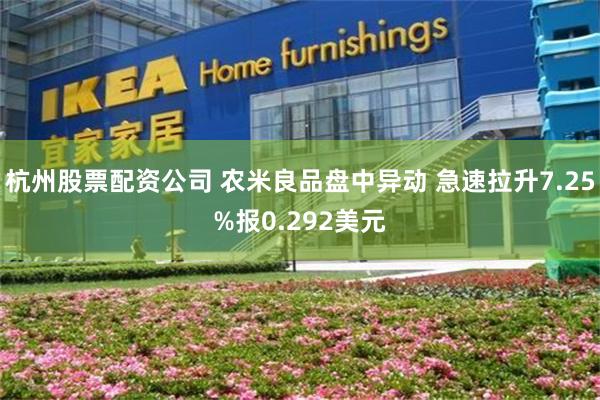 杭州股票配资公司 农米良品盘中异动 急速拉升7.25%报0.292美元