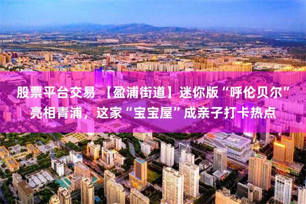 股票平台交易 【盈浦街道】迷你版“呼伦贝尔”亮相青浦，这家“宝宝屋”成亲子打卡热点