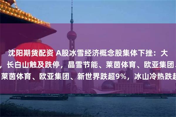 沈阳期货配资 A股冰雪经济概念股集体下挫：大连圣亚、武商集团跌停，长白山触及跌停，晶雪节能、莱茵体育、欧亚集团、新世界跌超9%，冰山冷热跌超8%