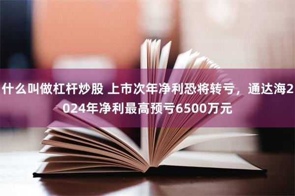 什么叫做杠杆炒股 上市次年净利恐将转亏，通达海2024年净利最高预亏6500万元