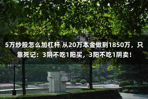 5万炒股怎么加杠杆 从20万本金做到1850万，只靠死记：3阴不吃1阳买，3阳不吃1阴卖！