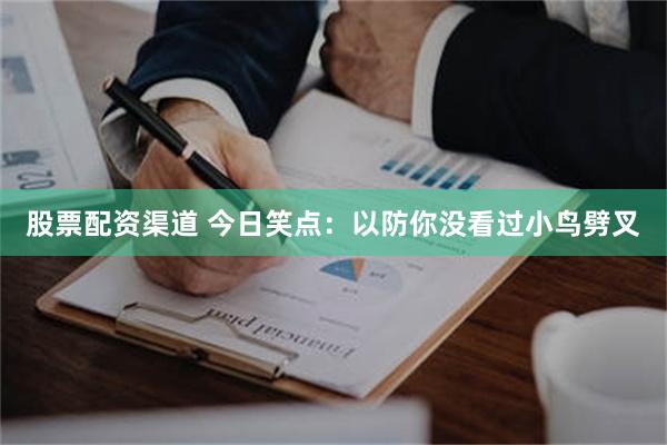 股票配资渠道 今日笑点：以防你没看过小鸟劈叉