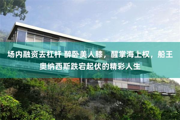 场内融资去杠杆 醉卧美人膝，醒掌海上权，船王奥纳西斯跌宕起伏的精彩人生