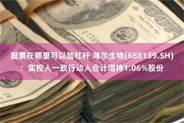 股票在哪里可以加杠杆 海尔生物(688139.SH)：实控人一致行动人合计增持1.06%股份