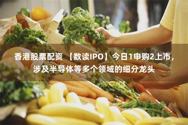 香港股票配资 【数读IPO】今日1申购2上市，涉及半导体等多个领域的细分龙头