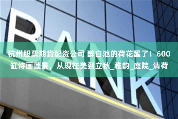 杭州股票期货配资公司 醉白池的荷花醒了！600缸诗画莲景，从现在美到立秋_雅韵_庭院_清荷