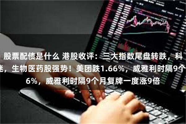 股票配债是什么 港股收评：三大指数尾盘转跌，科技股、金融股低迷，生物医药股强势！美团跌1.66%，威雅利时隔9个月复牌一度涨9倍