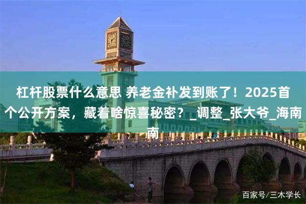 杠杆股票什么意思 养老金补发到账了！2025首个公开方案，藏着啥惊喜秘密？_调整_张大爷_海南