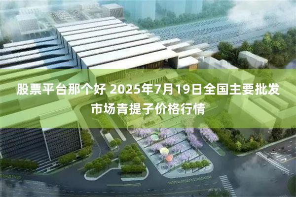 股票平台那个好 2025年7月19日全国主要批发市场青提子价格行情