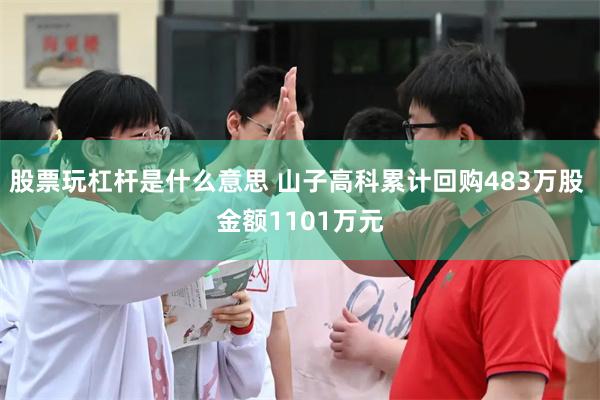 股票玩杠杆是什么意思 山子高科累计回购483万股 金额1101万元