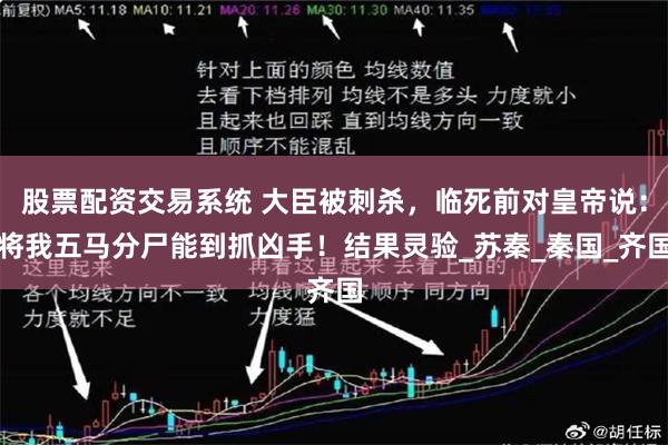 股票配资交易系统 大臣被刺杀，临死前对皇帝说：将我五马分尸能到抓凶手！结果灵验_苏秦_秦国_齐国