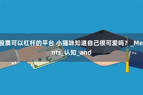 股票可以杠杆的平台 小猫咪知道自己很可爱吗？_Meints_认知_and