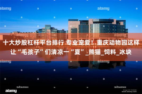 十大炒股杠杆平台排行 专业宠爱！重庆动物园这样让“毛孩子”们清凉一“夏”_熊猫_饲料_冰块