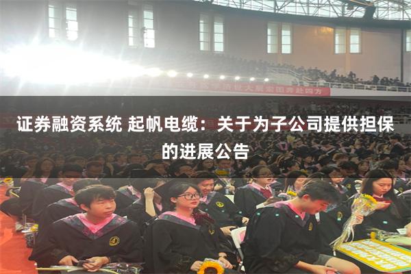 证券融资系统 起帆电缆：关于为子公司提供担保的进展公告